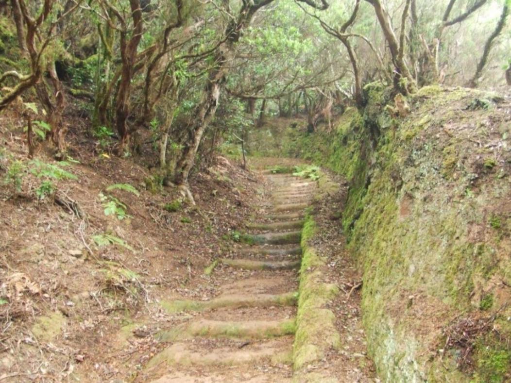 Casa del Cu bano A- Biosphere Reserve Taganana Esterno foto